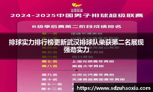 排球实力排行榜更新武汉排球队荣获第二名展现强劲实力